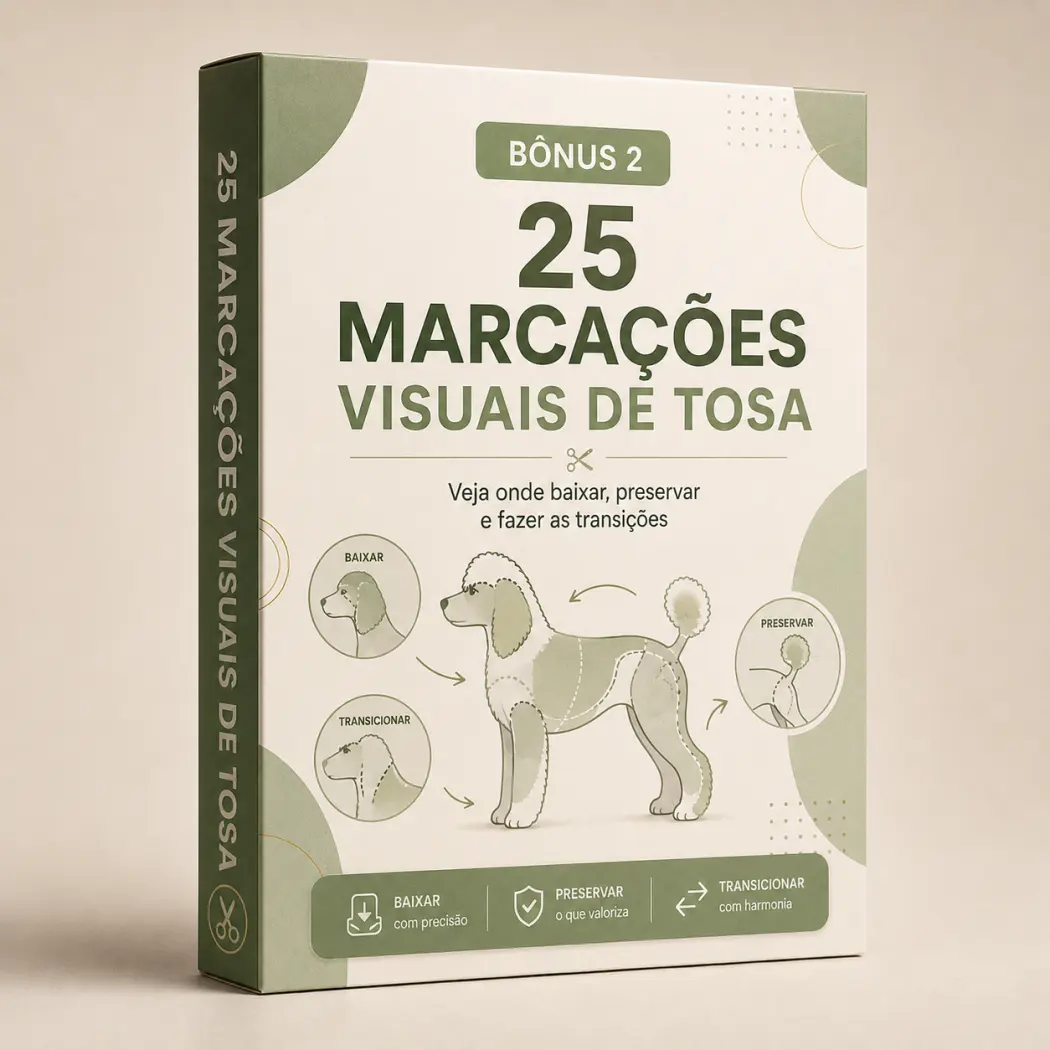 25 Marcações Visuais de Tosa